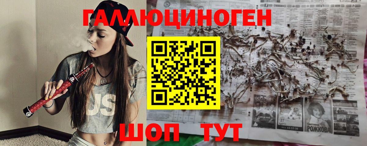 Галлюциногенные грибы Psilocybe Бердск