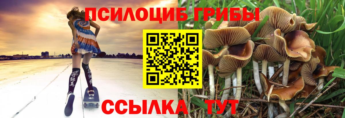 Псилоцибиновые грибы ЛСД  Вход с VPN  Бердск 